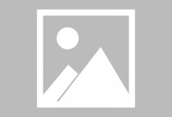 兴安盟爆料最新消息新闻,重大新闻事件追踪！